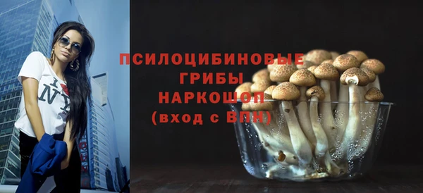 дмт Алзамай