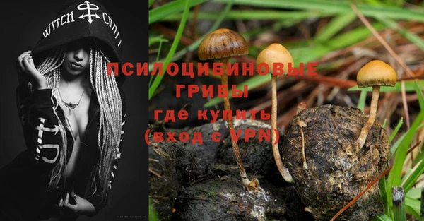 бошки Алексеевка